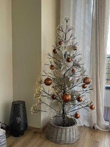 Fotografie z fotogalerie ubytování SkyNest v destinaci Namur