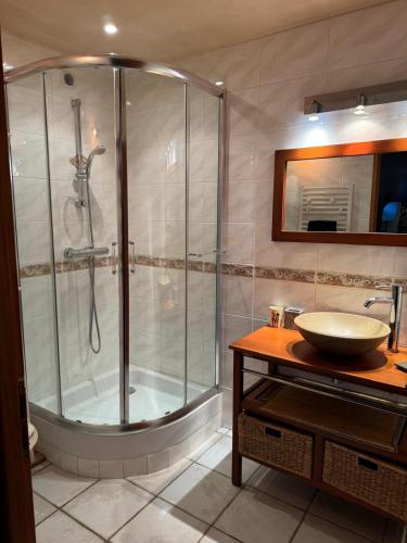 a bathroom with a shower and a sink at Grange des Taouré in Vignec