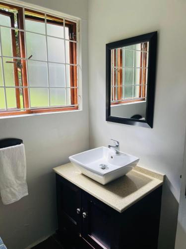a bathroom with a white sink and a mirror at 5 OYSTER COTTAGE in Durban