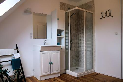 ein Badezimmer mit Dusche und Waschbecken in der Unterkunft La Morinière in Vieux
