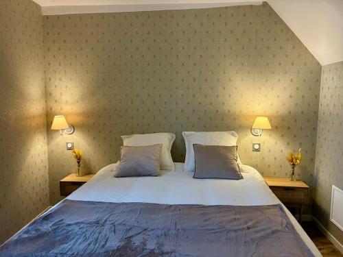 een slaapkamer met een groot bed met twee kussens bij Le Cocon de la Trinité T22 in Troyes