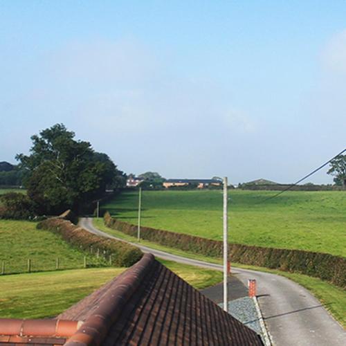 a road in a field with a street light at The Moorhead Bed & Breakfast in Wem