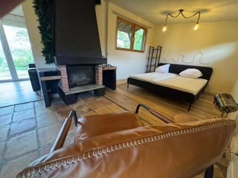 Lacroix-FalgardeにあるL Echappee a deux, Spa and Pyrenees Viewのソファと暖炉のあるリビングルーム