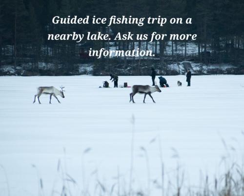 una foto di due cervi che camminano nella neve di Raanu Apartment 59km from Rovaniemi center a Raanujärvi