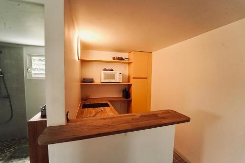 una cocina con fregadero y microondas en Ravenala, en Saint Martin