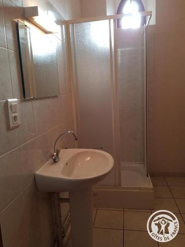a bathroom with a sink and a shower at Presbytere in Soursac