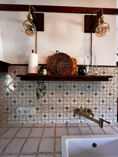 a kitchen counter with a sink and a shelf at A Maquía de Medín in O Pino 