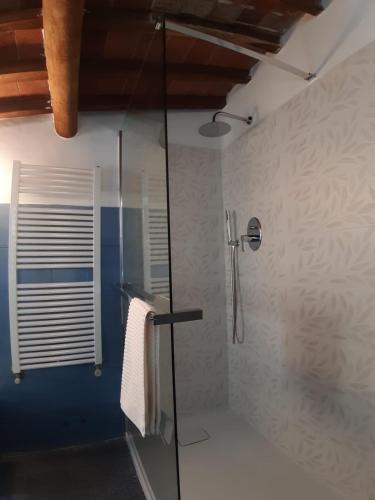 a bathroom with a shower with a glass door at Zinfarosa Color Home in Foiano della Chiana