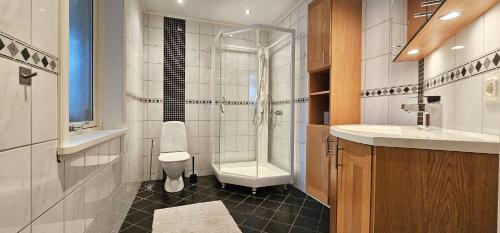 a bathroom with a shower and a toilet and a sink at Modern villa with sea view in Svanesund SE09101 in Svanesund