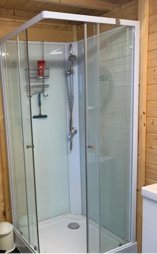a shower with a glass door in a bathroom at Beach Resort Kamperland - 181 in Kamperland