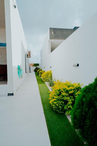 a white building with a yard with green plants at Mary's Villas Private Pool In Noord in Noord