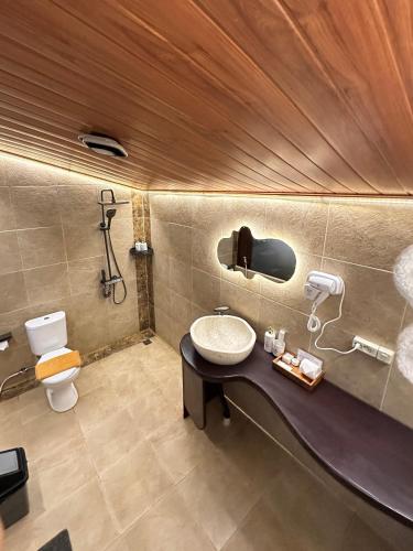a bathroom with a sink and a toilet at Puunee Wild River Villa's Borobudur in Borobudur
