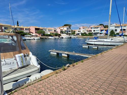 Villa sur l'ile des marinas avec piscine, parking et ponton privé
