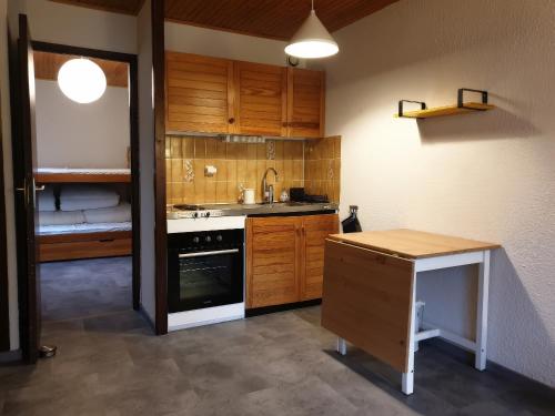 Η κουζίνα ή μικρή κουζίνα στο Bel appartement 2 pièces en RDC