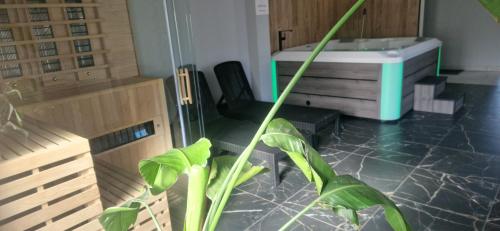 Fotografie z fotogalerie ubytování Słoneczna Dolina SPA Belle View ve Sklářské Porubě