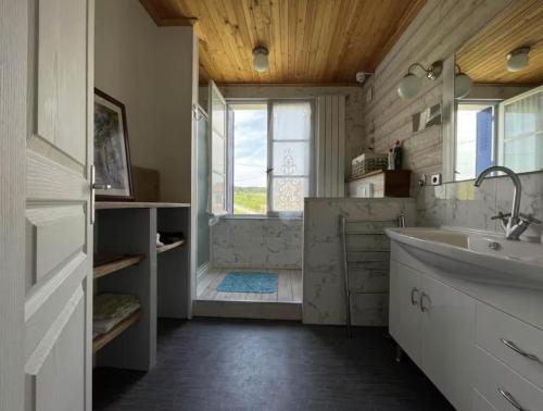 ディゴワンにあるLa Colline Digoinのバスルーム(洗面台、窓付きシャワー付)