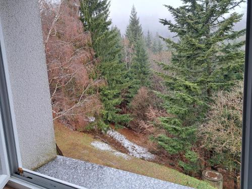 Φυσικό τοπίο κοντά σε αυτό το bed & breakfast