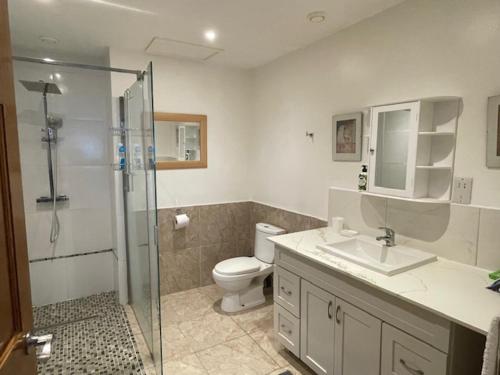 a bathroom with a shower and a toilet and a sink at Christiana Apartment Morne Daniel in Canefield