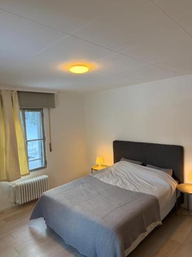 a bedroom with a large bed and a window at 3 bedrooms apartment in Fionnay in Fionnay