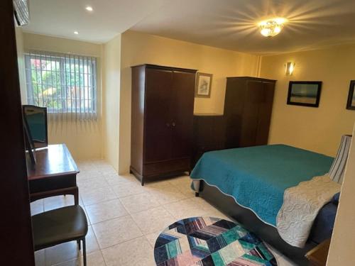 a bedroom with a bed and a desk and a chair at Christiana Apartment Morne Daniel in Canefield