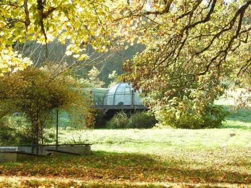 Monchateau étoilé, hébergement insolite avec Spa في Merlas: منظر لجسم أخضر في وسط حديقة