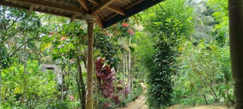 Un jardín con muchas plantas y una pérgola. en Sinharaja Tour Guide, en Nikawatawana