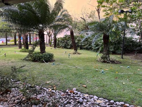 Um jardim no exterior de Flat Beach Class Excelsior - Apto Completo para 4 pessoas vista rio e mar