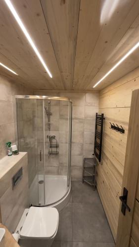 a bathroom with a shower and a toilet and a sink at Domek Adusiówka in Stronie Śląskie