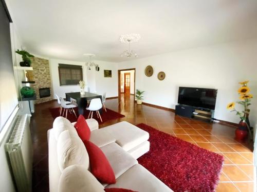 TV a/nebo společenská místnost v ubytování PESO RIVER HOUSE