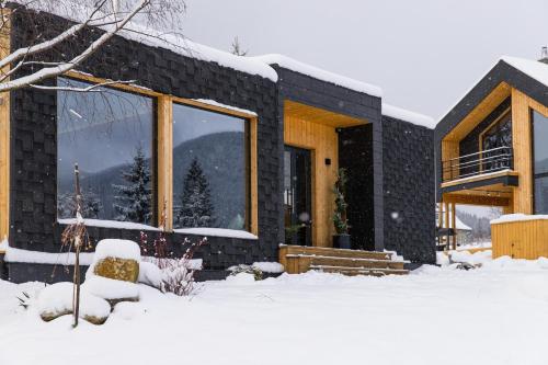 una casa de ladrillo negro en la nieve en INOclub, en Tatariv