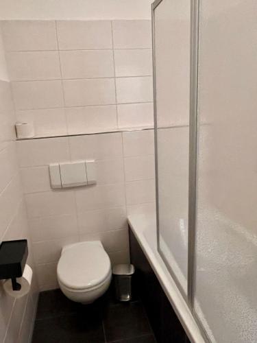 a white bathroom with a toilet and a shower at Ferienwohnung Goldener Hirsch in Schneeberg