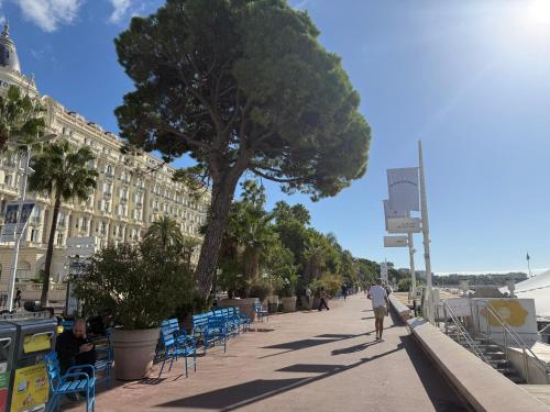 Appartement terrasse Croisette