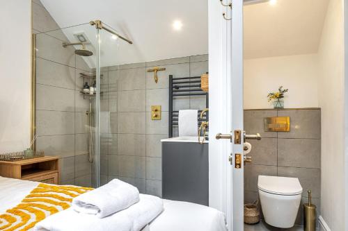 a bathroom with a shower and a toilet and a sink at Birch Studio in Camborne