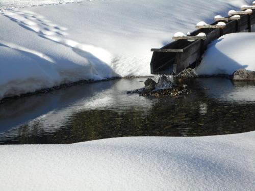 auddle of water in the snow with snowcyclescycles at Appartement Haus Zalim in Brand