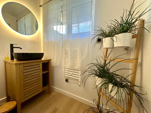 a bathroom with a sink and a mirror at Charmant deux pièces en plein centre-ville de NARBONNE in Narbonne
