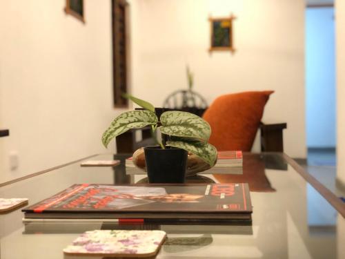 Billede fra billedgalleriet på Bamboo Grove Cottages i Hikkaduwa