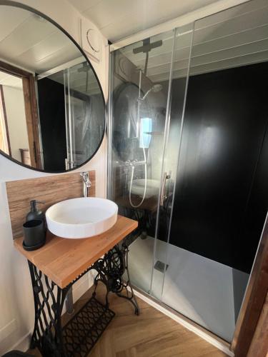 a bathroom with a sink and a shower at La Tiny du Rioux in Lagnieu