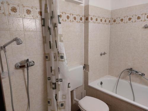 een badkamer met toilet, bad en douche bij Antoinette Kurappartement in Bad Krozingen