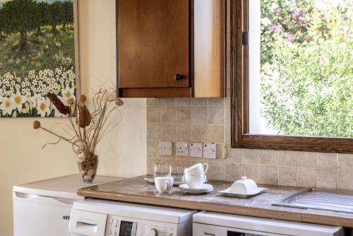 een keuken met een aanrecht en een raam bij Relax Villa in Lachi