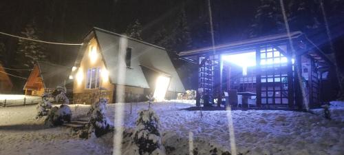 Vila Dunja Pale v zimě