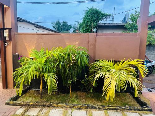 Zahrada ubytování HA villa