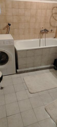 y baño con bañera y lavadora. en Masa, en Arandjelovac