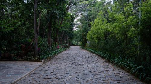 Imagine din galeria proprietății Trisara Boutique Stay în Mysore