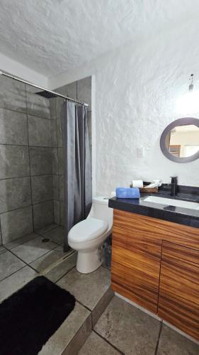 a bathroom with a toilet and a shower and a sink at Familiar, amplio y con alberca in Puerto Vallarta