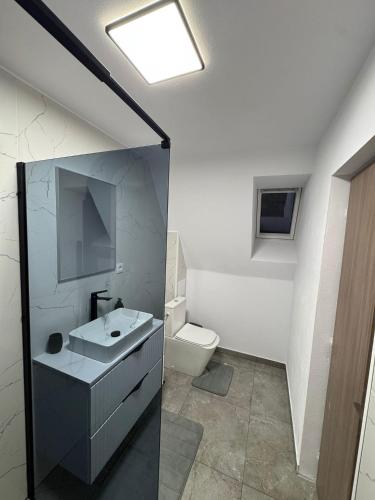 a bathroom with a sink and a toilet at Sunny Hill Cab in Bulz
