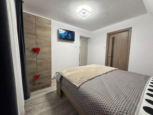 a bedroom with a bed and a tv on the wall at Sunny Hill Cab in Bulz