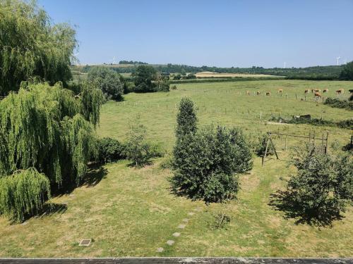 a field with trees and cows in the distance at Gite du bout là haut in Audincthum
