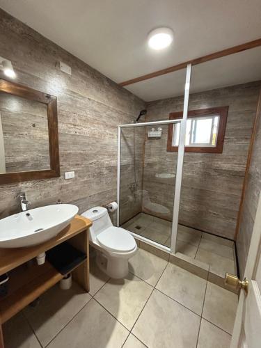 Koupelna v ubytování Hometainer Río Cochrane 2 Cerro Tamango