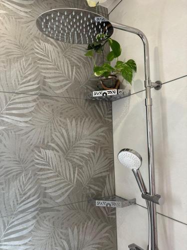 a shower with a plant on a wall at Ker'mima in Antoigné Châtellerault in Châtellerault