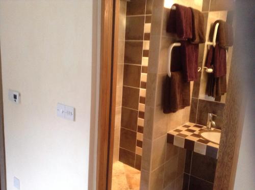 a bathroom with a shower and a sink at Glan Llyn Farm House in Mold